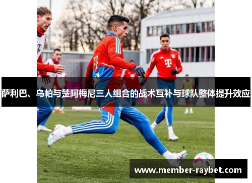 萨利巴、乌帕与楚阿梅尼三人组合的战术互补与球队整体提升效应