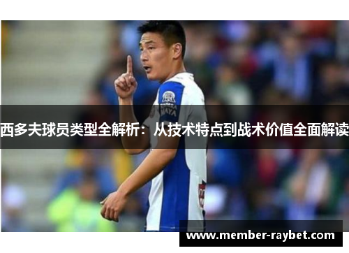 西多夫球员类型全解析：从技术特点到战术价值全面解读