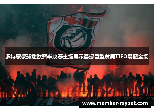 多特蒙德球迷欧冠半决赛主场展示震撼巨型黄黑TIFO震撼全场