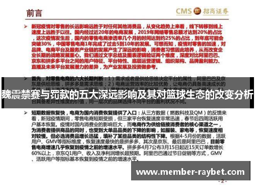 魏震禁赛与罚款的五大深远影响及其对篮球生态的改变分析 魏震禁赛与罚款的五大深远影响及其对篮球生态的改变分析