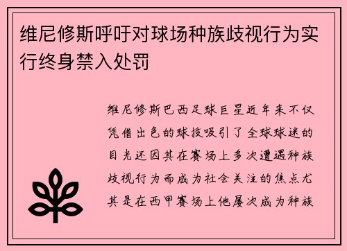 维尼修斯呼吁对球场种族歧视行为实行终身禁入处罚